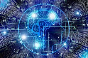 AI 시대 진로 불안 확산… 미국 대학생들 “안전한 전공" 찾기 몰두